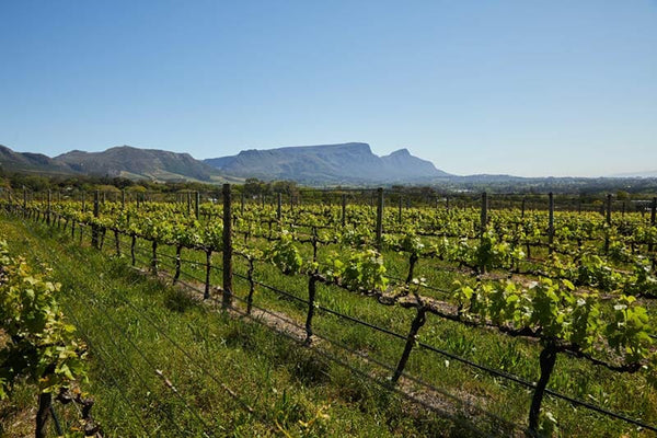 Wine Region Profile: Anderson Valley AVA, Mendocino County-Bottle Barn