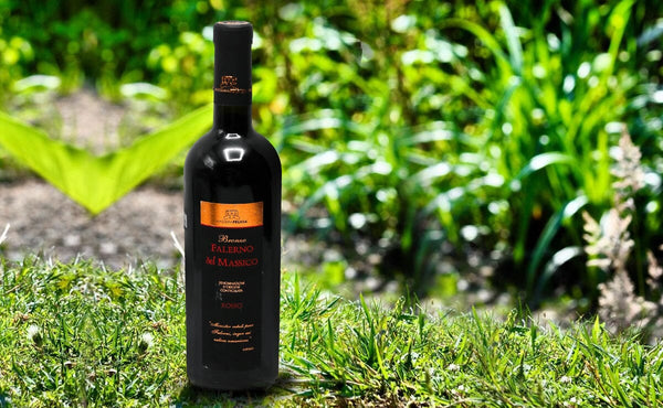 A bottle of 2004 Masseria Felicia Falerno del Massico Rosso-Bottle Barn