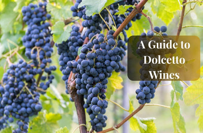 A Guide to Dolcetto Wines