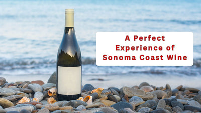 A Perfect Experience of Sonoma Coast Wine