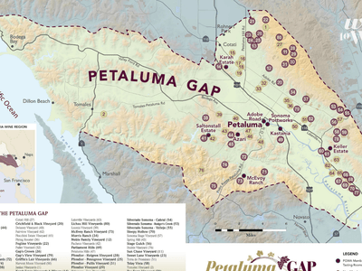 Spotlight on Petaluma Gap Wines