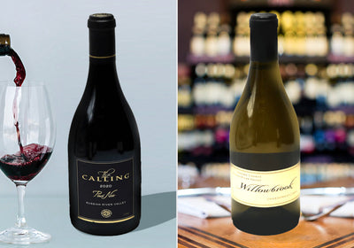 Pinot Noir Wine and Chardonnay Wine: More than Meets the Eye