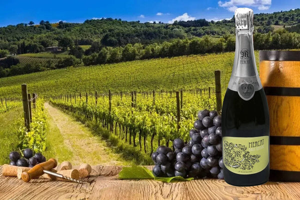 A bottle of Mercat Cava Brut Nature-Bottle Barn