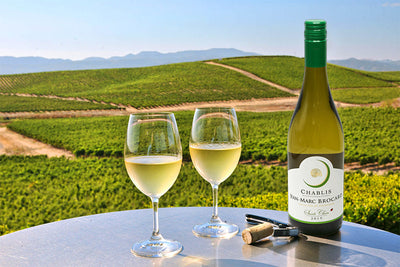 Best White Wine Region Profile: France´s Chablis