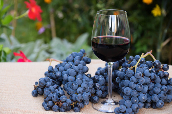 Napa Cabernet Flavor Without the Napa Price: Smart Alternatives-Bottle Barn
