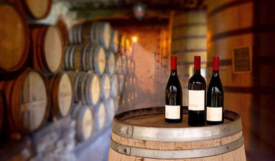 Cover image for the article – “old wine cellar with wooden wine barrels in a Veneto winery”-Bottle Barn