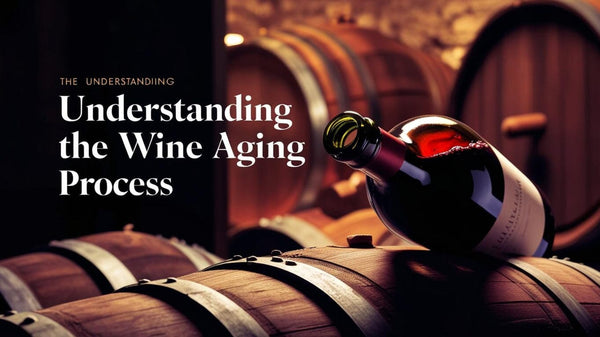 wine bottle with barrels with heading – understanding the wine aging process-Bottle Barn