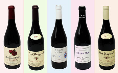 Discovering Elegance: Five Exceptional Cabernet Franc Wines from the Loire Valley-Bottle Barn