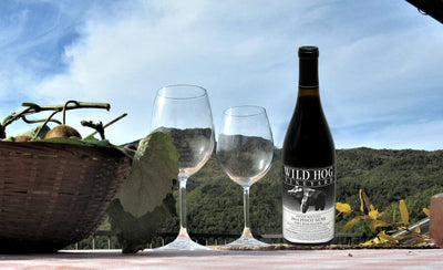 2016 Wild Hog Estate Fort Ross-Seaview Pinot Noir-Bottle Barn