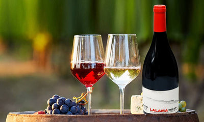 Must Try White and Red Wines from Green Spain: Galicia