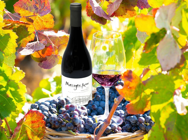 A bottle of 2018 Montagne Russe Roberts Road Vineyard Pinot Noir-Bottle Barn