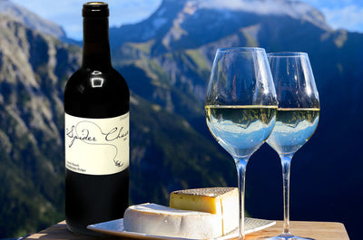 Wine Region Profile: Mendocino Ridge AVA