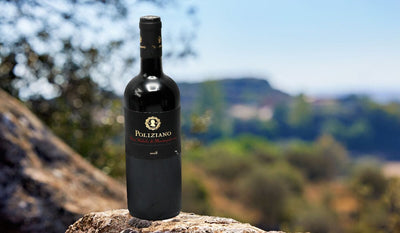 Exploring Montepulciano Wine: A Comprehensive Guide