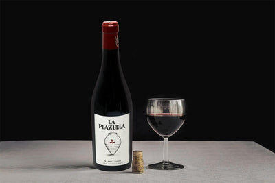 A bottle of 2015 Bodegas Más Que Vinos La Plazuela -Bottle Barn