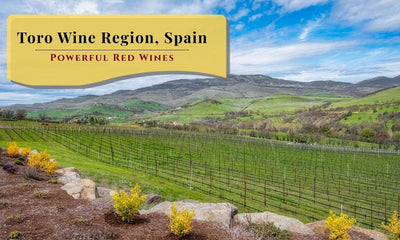 Toro: An Introduction to Spain’s Most Powerful Red Wine Region