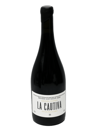 2019 Michelini I Mufatto La Cautiva Malbec