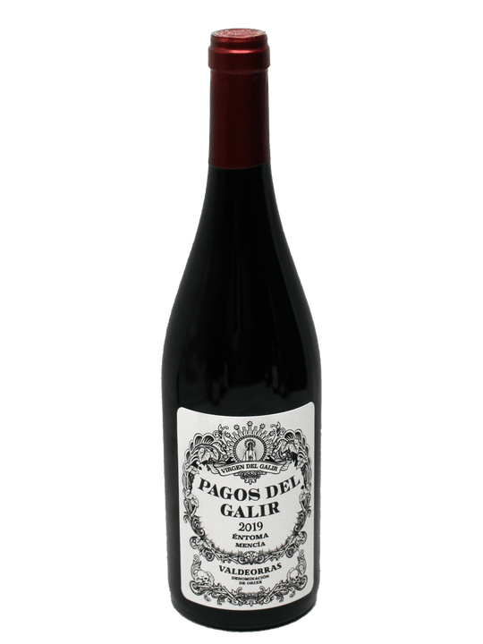 2019 Virgen del Galir Pagos del Galir Mencia [JS92][WS90]-Bottle Barn