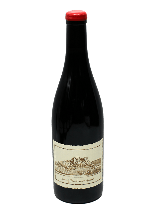 2020 Anne et Jean-Francois Ganevat Arbois-Pinot Noir Sur La Cote-Bottle Barn