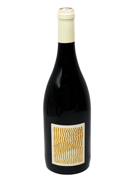 2020 Domaine des Sanzay Saumur Champigny Les Frogeres-Bottle Barn