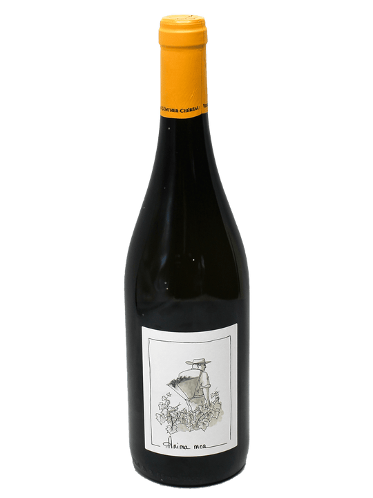 2020 Véronique Günther-Chereau Anima Mea Muscadet Sevret et Maine [WE90]-Bottle Barn