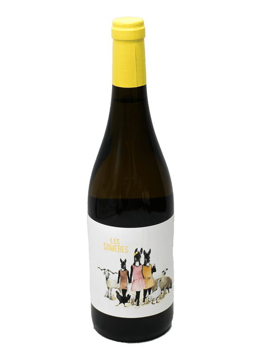 2021 Clos dels Guarans Les Someres Vi Blanc [WA90]-Bottle Barn