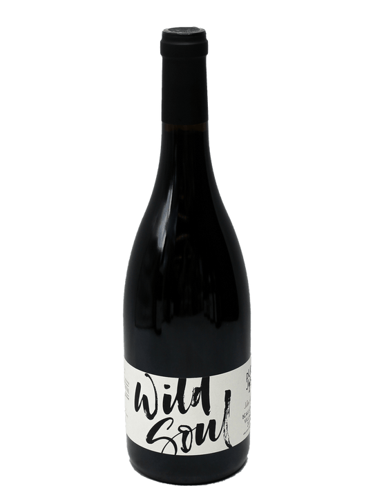 2021 Julien Sunier Wild Soul Beaujolais Villages-Bottle Barn