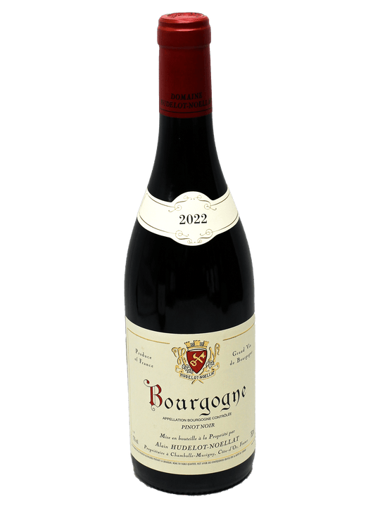 2022 Alain Hudelot-Noellat Bourgogne Pinot Noir-Bottle Barn