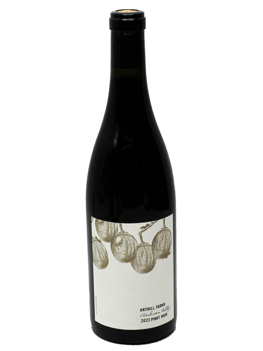 2022 Anthill Farms Anderson Valley Pinot Noir [WA90]-Bottle Barn