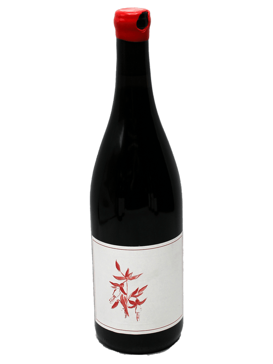 2023 Arnot-Roberts Peter Martin Ray Vineyard Pinot Noir-Bottle Barn