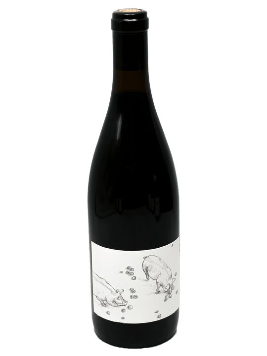 2023 Big Table Farm Pinot Noir [WE94][WS94][D94][V91][JD90]-Bottle Barn