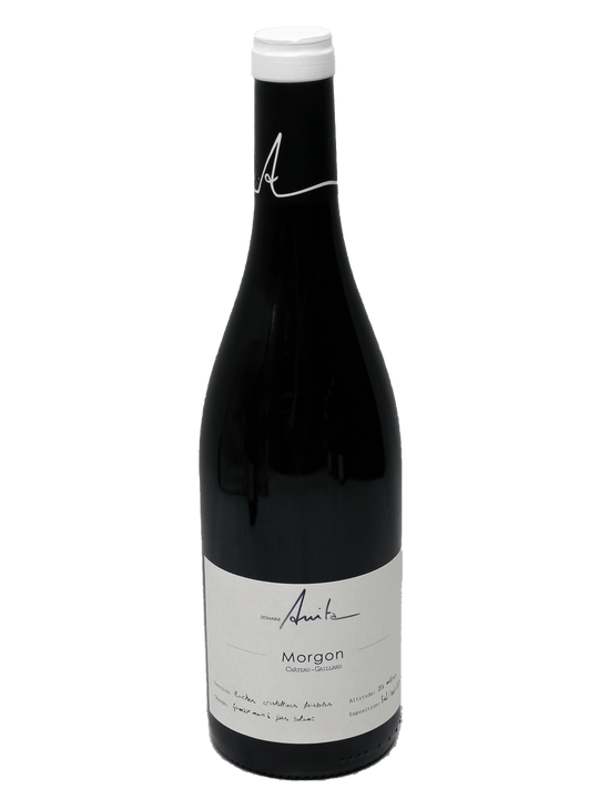 2022 Domaine Anita Morgon Chateau-Gaillard [JS96]-Bottle Barn