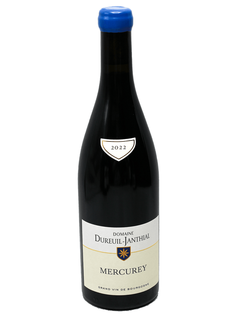 2022 Domaine Dureuil-Janthia Mercurey-Bottle Barn