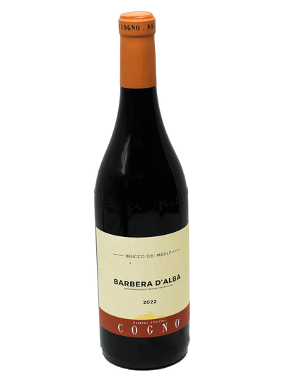 2022 Elvio Cogno Barbera d'Alba Bricco dei Merli