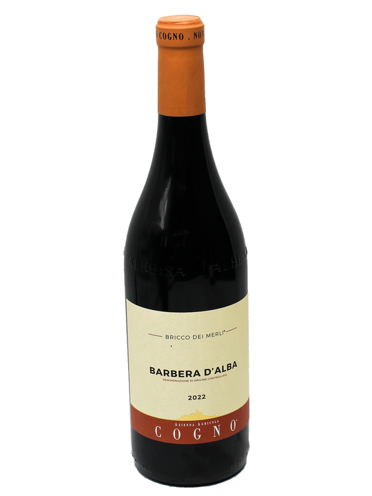 2022 Elvio Cogno Barbera d'Alba Bricco dei Merli [JD91][WA91]-Bottle Barn