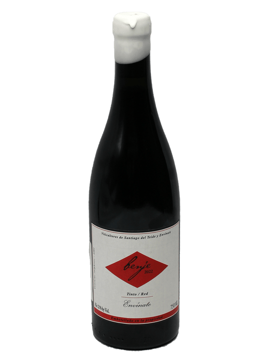 2022 Envinate Benje Tinto [WA94+]-Bottle Barn