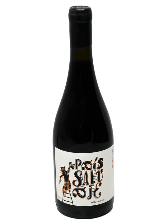 2022 J. Bouchon Pais Salvaje Tinto [JS92][TA92]-Bottle Barn