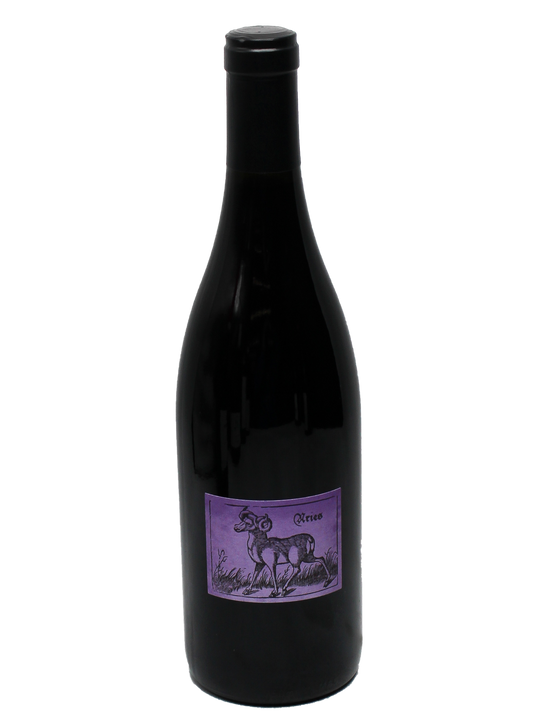 2022 Robert Sinskey Aries Violet Pinot Noir-Bottle Barn