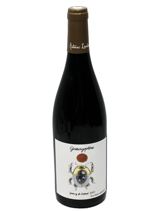 2023 Antoine Lienhardt Gamayoptere Gamay du Pierrot-Bottle Barn