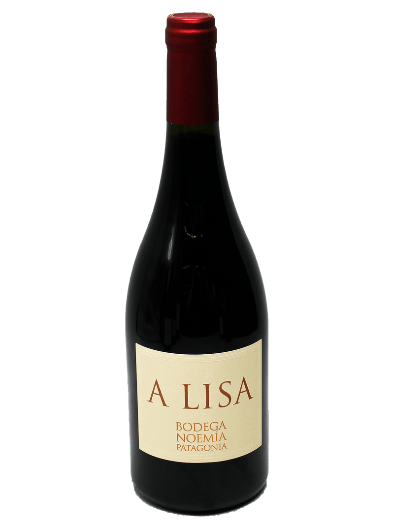 2023 Bodega Noemia de Patagonia A Lisa Malbec-Bottle Barn