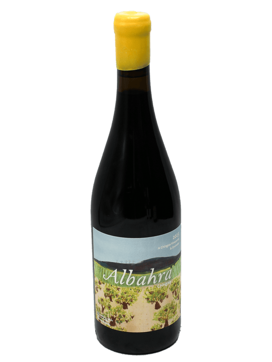 2023 Envinate Albahra Chingao-Bottle Barn