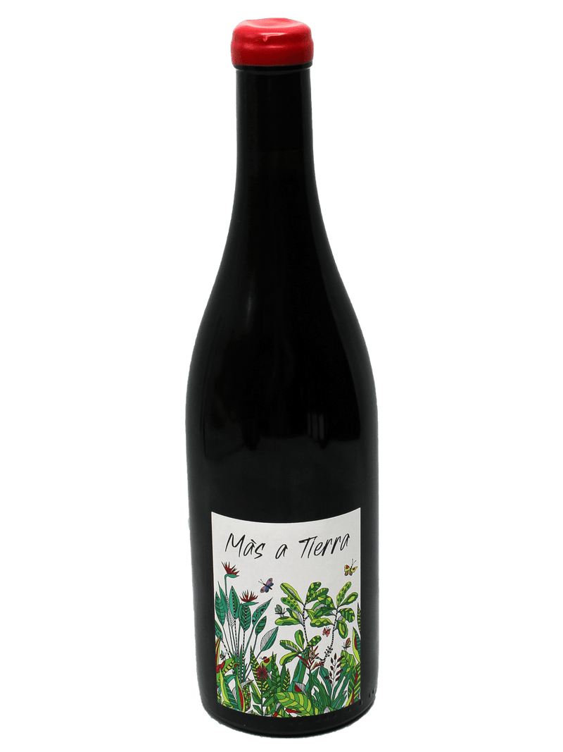 2023 La Petite Empreinte Mas a Tierra Coteaux Bourguignons Pinot Noir-Bottle Barn