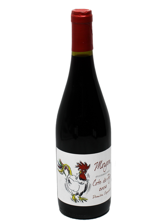 2024 Damien Coquelet Morgon Cote de Py-Bottle Barn