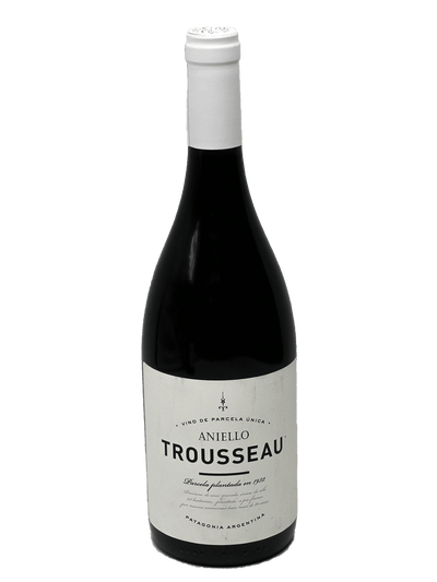 2016 Bodega Aniello Trousseau