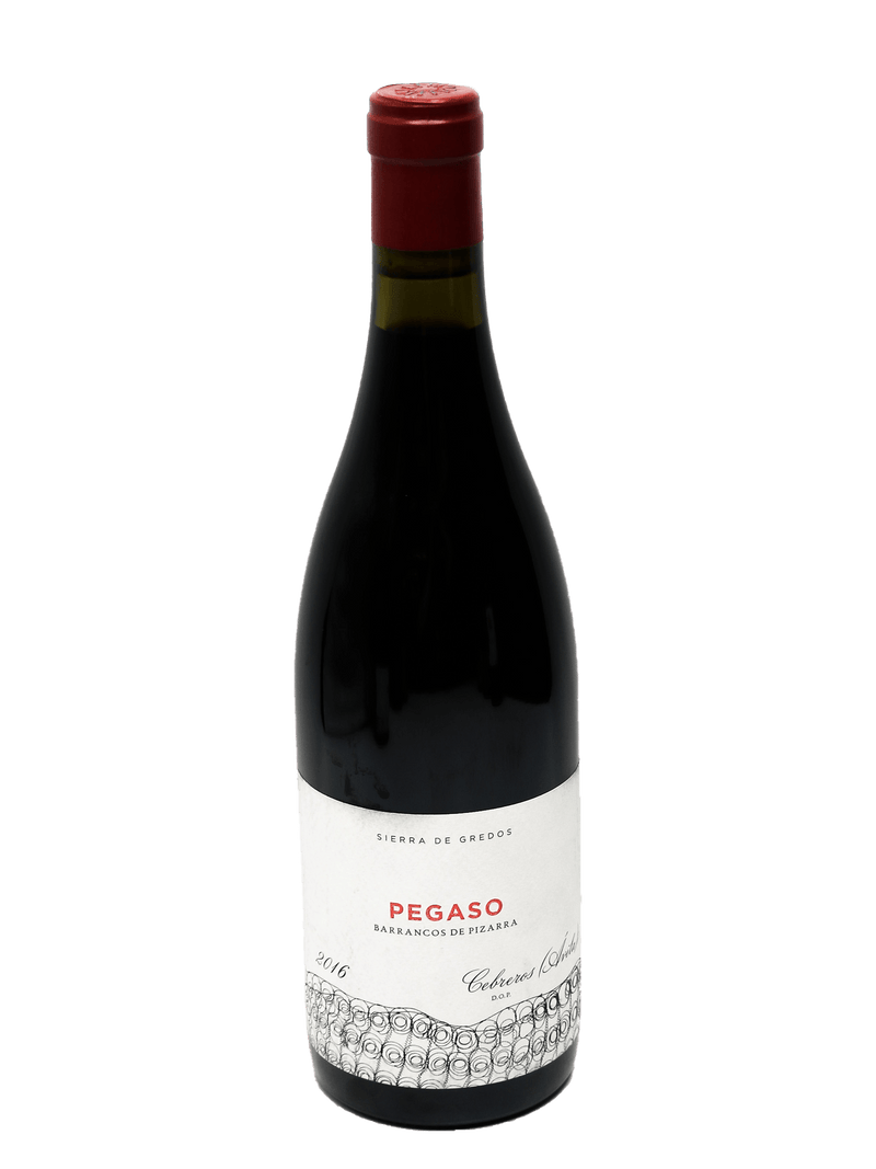 2016 Pegaso Barrancos de Pizarra Garnacha-Bottle Barn