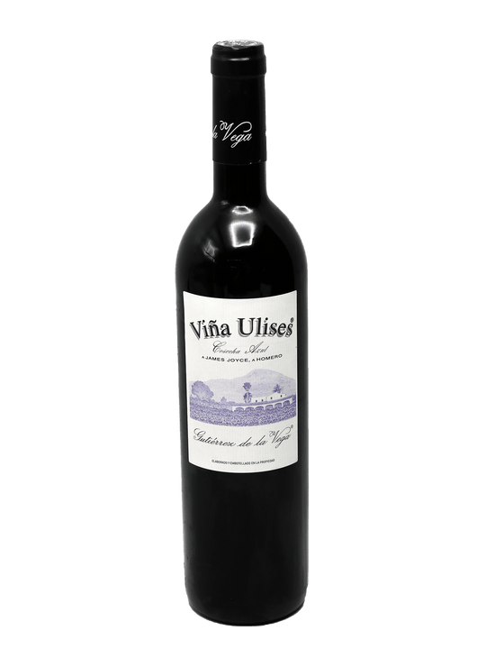 2016 Gutiérrez de la Vega Viña Ulises [JG91]-Bottle Barn
