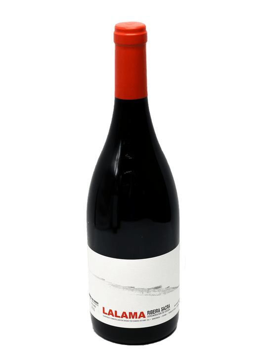 2021 Dominio Do Bibei Lalama Ribeira Sacra-Bottle Barn