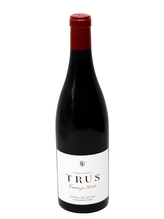 2018 Palacios Vinos de Finca Trus Crianza [D96][WS93]-Bottle Barn