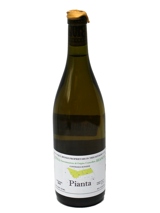 2020 Ciro Biondi Pianta Etna Bianco-Bottle Barn