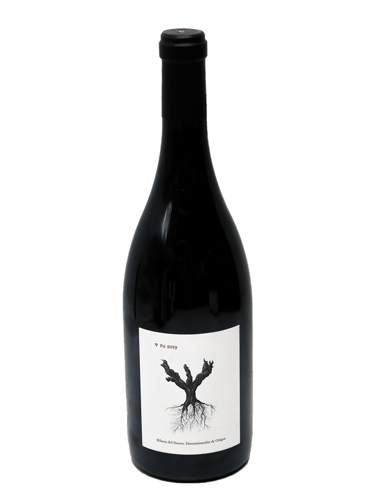 2022 Dominio de Pingus Psi Ribera del Duero-Bottle Barn