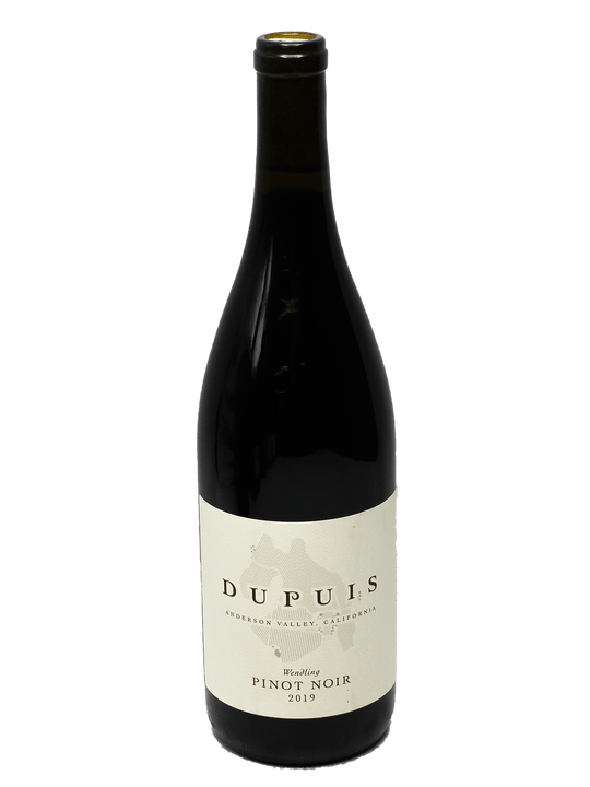 2019 DuPuis Wendling Vineyard Pinot Noir [WE95]-Bottle Barn